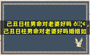 己丑日柱男命对老婆好吗 🦢 ,己丑日柱男命对老婆好吗婚姻如 🌿 何